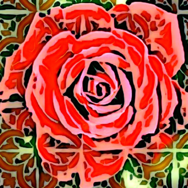 Mystic Rose